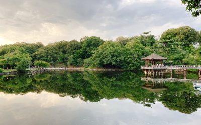 Voyage 2022 – Du Kansai à Hiroshima