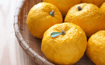 le yuzu, star des agrumes japonais ?